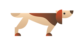 Dog Veterinary Care Services