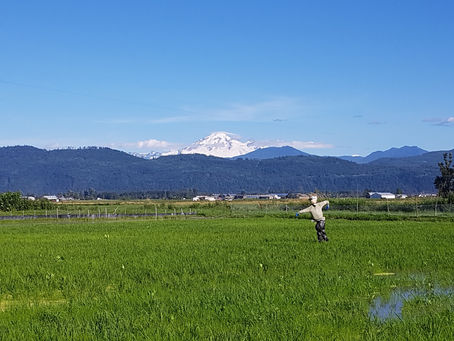 ASM September 2020 Issue 