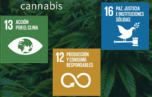 Captura de pantalla 2022-11-22 221931.png