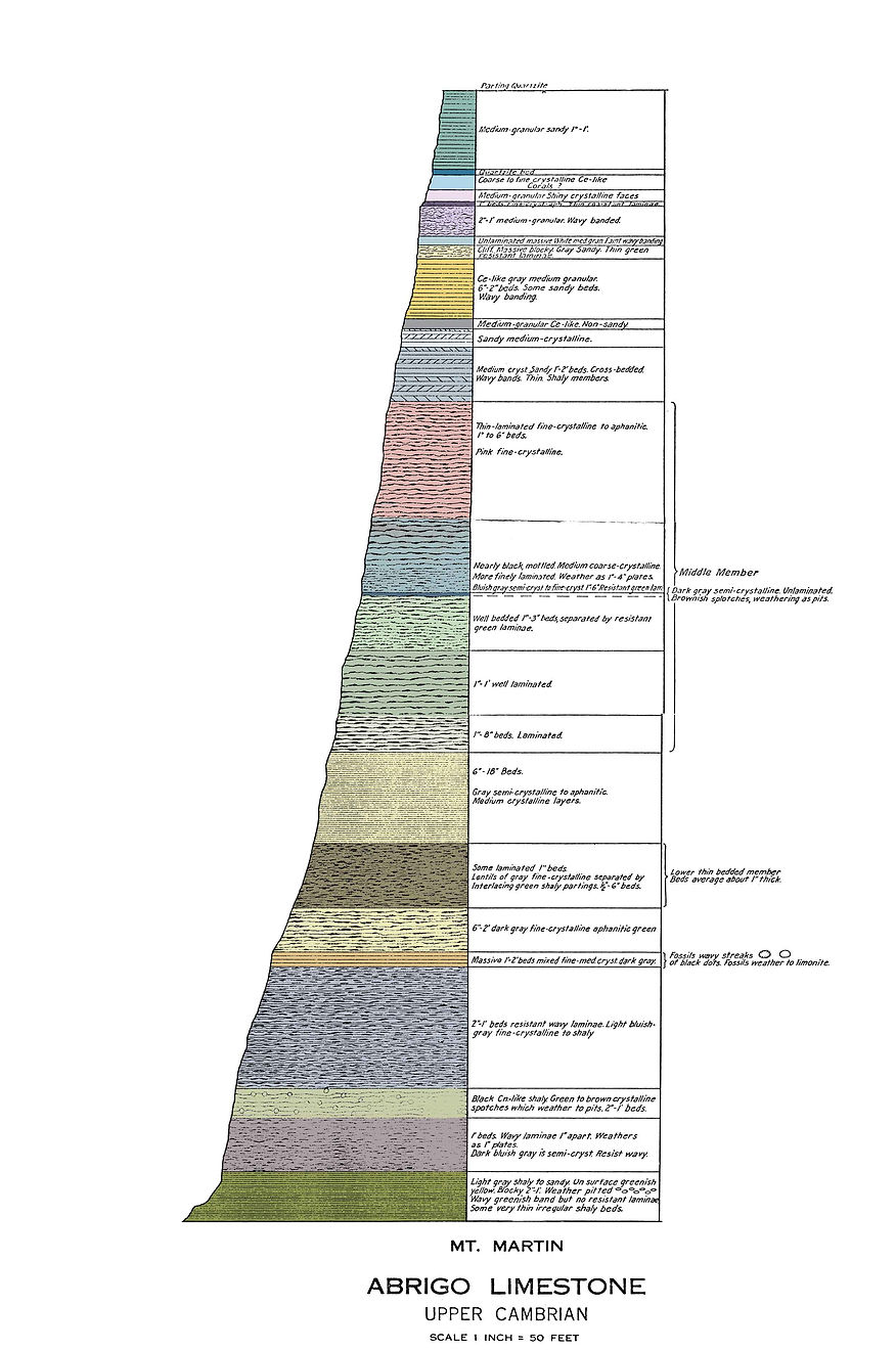 abrigo-detailed-low.jpg