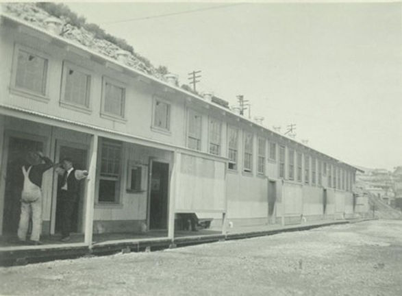 Picture4.jpg