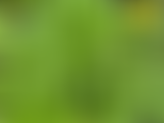 Creating a Medicinal Herb Garden: Plants That Heal