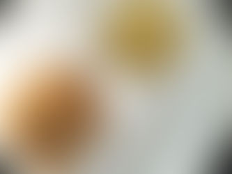 Homemade Seasoning Staples: Garden Blend, Blanco Trinity & Red, Crimson Essence Blends