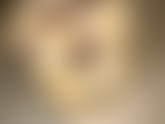 The Perfect Chocolate Chip Cookies