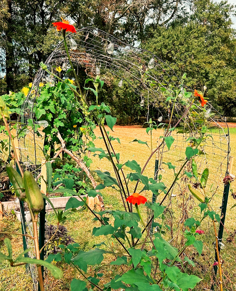 "Unleash Your Green Thumb: Seed-starting, The Easiest Seeds to Start This Year"