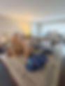 To live through your renovation or move out: 4 Pros and 4 Cons of living through the dust, and the benefit of living in the home before finalizing your renovation