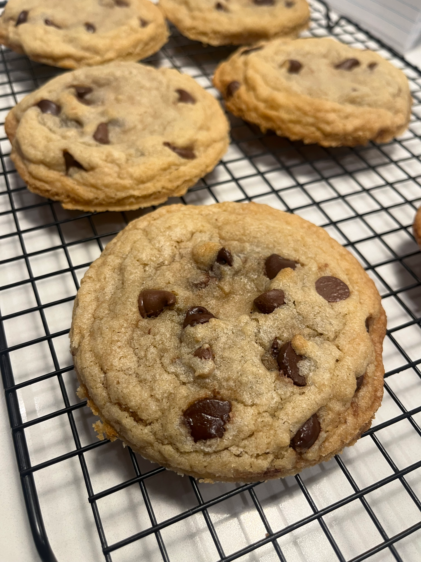 Choco Chip Cookie