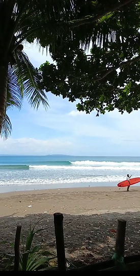 REEF SURF ROUGE.jpeg