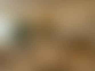 AI Receptionist for Med Spas: Recover $20K – $70K ROI in Lost Revenue