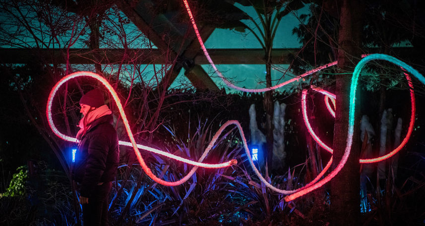 Biophilia - a dynamic art installation displayed at Canary Wharf, London, designed by Frankie Boyle Studio