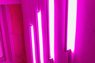 Spectrum Pink lighting designed by Frankie Boyle Studio for Moniker Finally