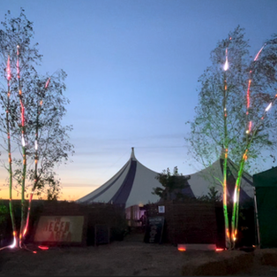 Two trees illuminated with colourful LED lights featuring a large striped tent and smaller marquees under a twilight sky - designed by light artist Frankie Boyle.
