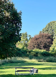 IMG_4133_edited.jpg