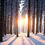 Thumbnail: Winter Solstice Tisane - (Our Most Popular Tisane)