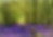 Screen Shot 2025-06-30 at 4.31.48 PM.png