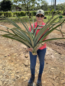 Reisebericht - Susan in Costa Rica