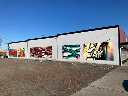 Outdoor Gallery.png