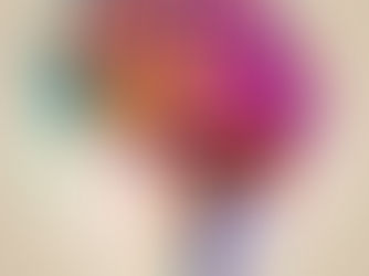 Neuroscience and Emotional Intelligence: The Core of Great Interpreting