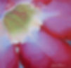 emanation