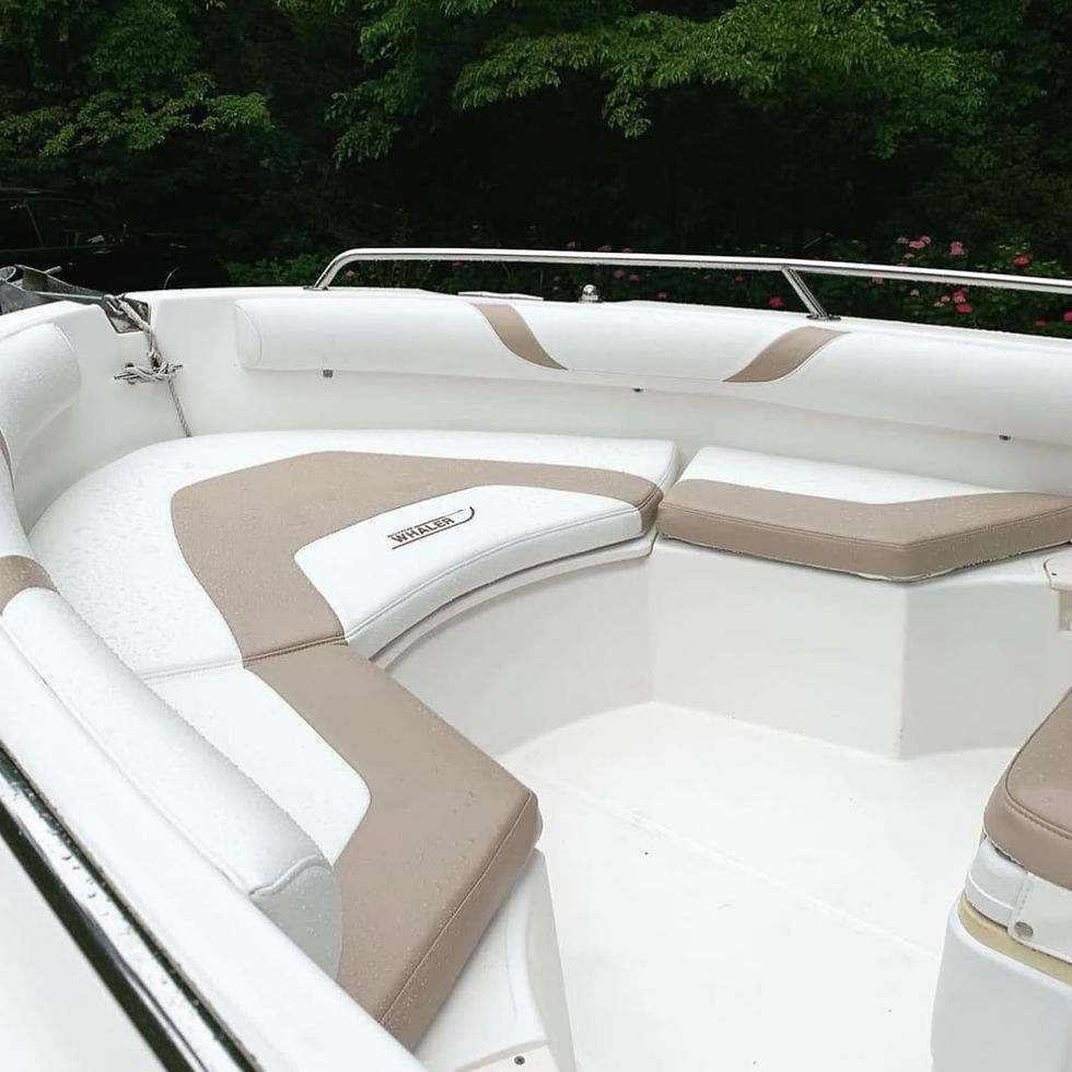 PHOTO-2026-01-09-15-21-42 2.jpg