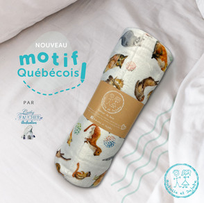 animaux-du-qubec.jpeg