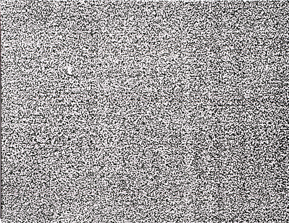 untitled (brown,) 1999, oil on canvas, 53 x 70", Private Collection