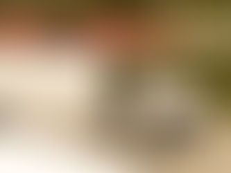 Desolation Sound – Reflections from whitewater to sea