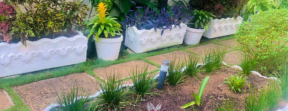 Jardin Ekabo