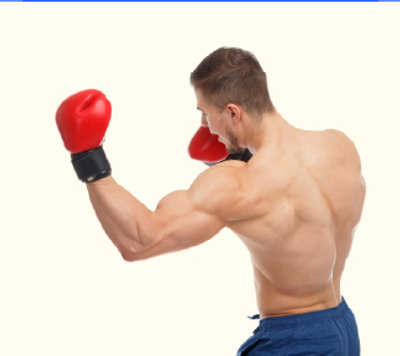 Boxer