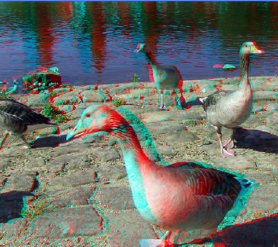 3D