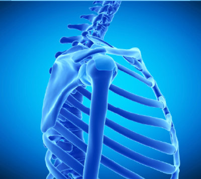 Blue Skeleton