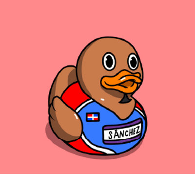 Duck #1003