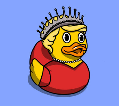 Duck #708