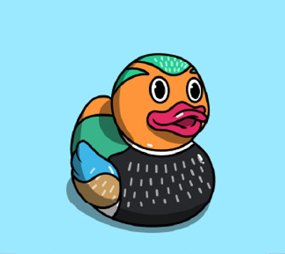 Duck #763