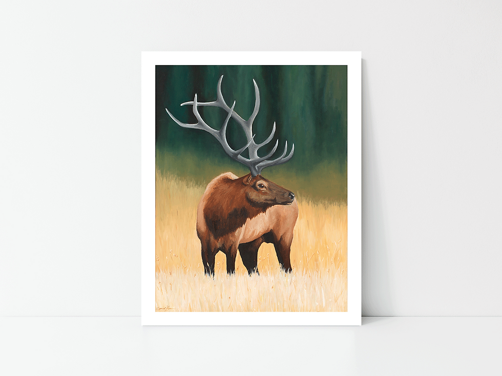 Sunrise Elk Print
