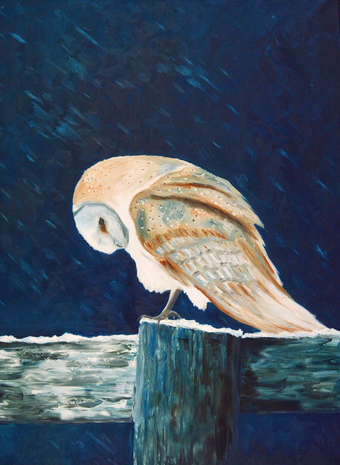 Snowy Owl Oil Painting, Prints, Stickers and Greeting Cards available. 