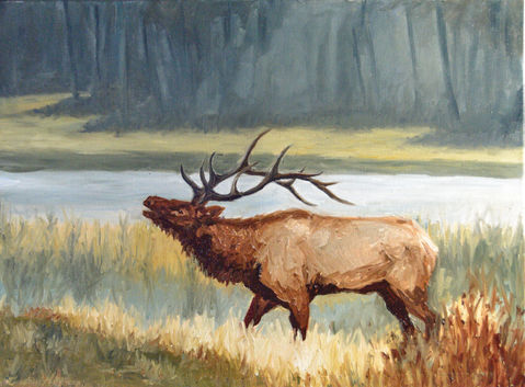Shadow Elk Painting