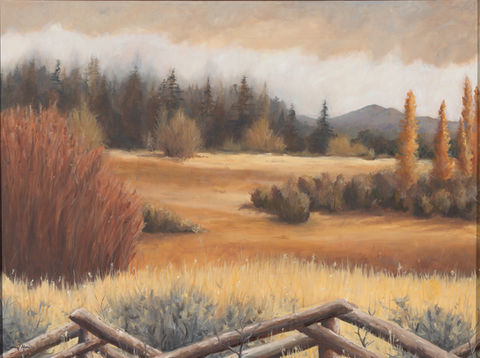 Desert Meadow