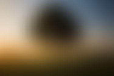 The wisdom of your body