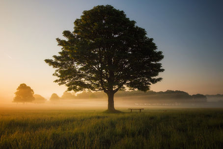 The wisdom of your body