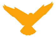Mustard Gold Hawk Silhouette.png