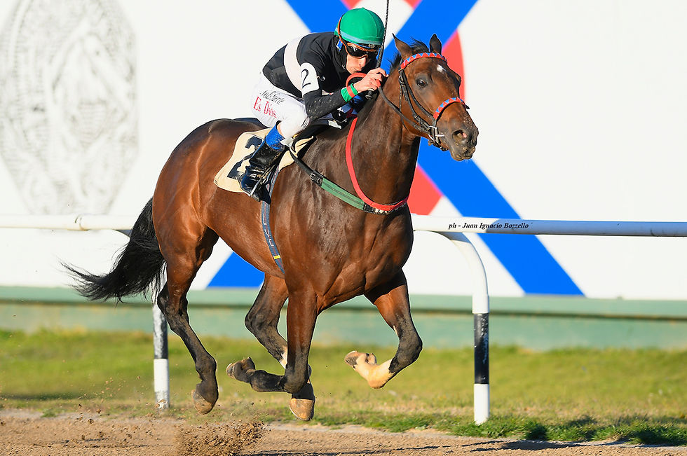 Flaminius dio la sorpresa en el Handicap Candy Stripes
