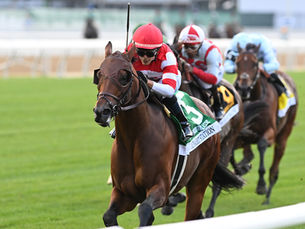 Minaret Station eligió el Joe Hirsch para volver a ganar y estrenarse en G1
