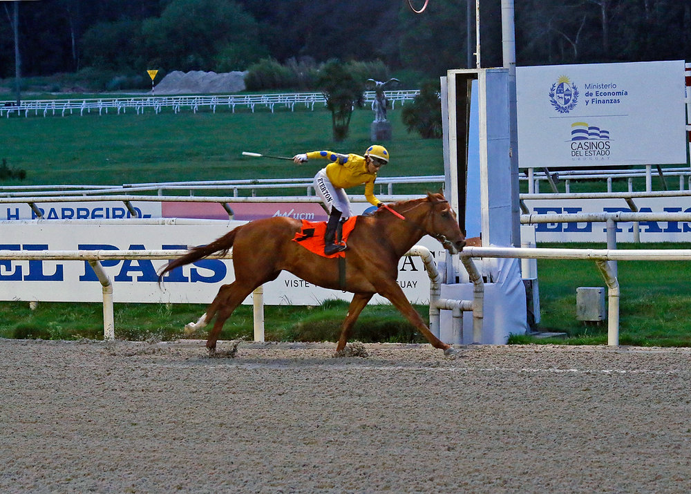 Obstacle And Voice Out Captured The Jockey Club And Selecci n obstacle-and-voice-out-captured-the-jockey-club-and-selecci-n