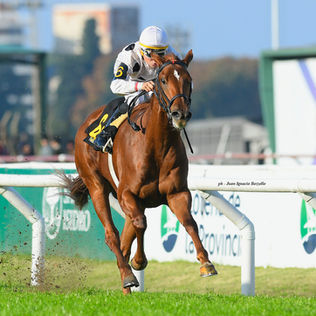 Distaff: Charm parece jugar una liga diferente, pero tiene que demostrarlo