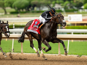 Keeneland subastará parte de 9 caballos de la Breeders’ Cup y hasta el histórico Castleton Farm