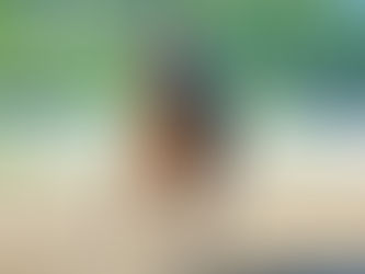 En una fecha rara, Hop On quiere la foto en el Handicap Whipper In
