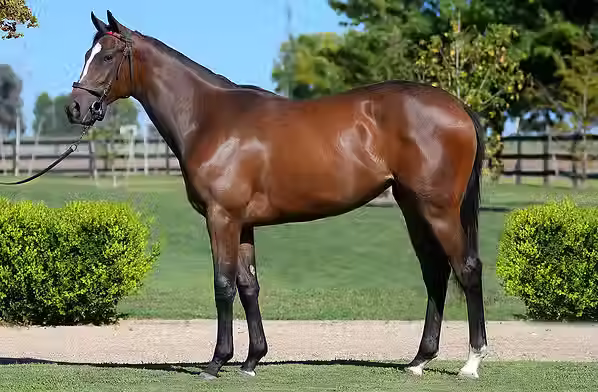 Resumen - Segundo Remate Anual del Haras La Leyenda