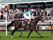 Blue Bolt ya no tiene cuentas pendientes: arrasó en el Sun Chariot