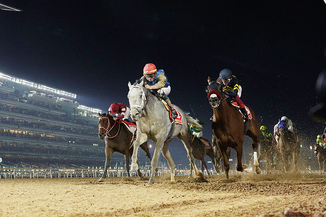 Hit Show won the Dubai World Cup, further solidifying the legend